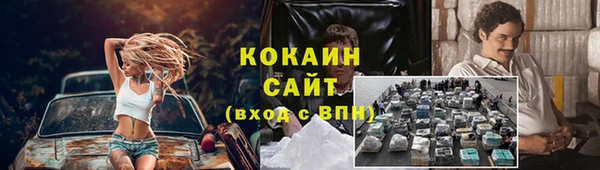 кокс Белокуриха