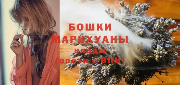 кокс Белокуриха
