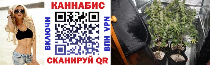 где купить наркоту  Бутурлиновка  ссылка на мегу как зайти  Каннабис гибрид 